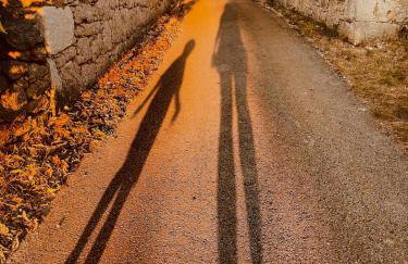 Villa Toni by BOTANICA Traditional stone house - Foto 5