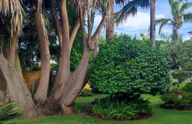 Finca El Trazo - Foto 44