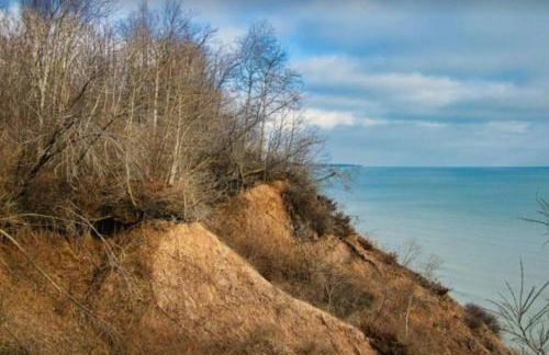 Wonderful 4BR Home - Foto 45