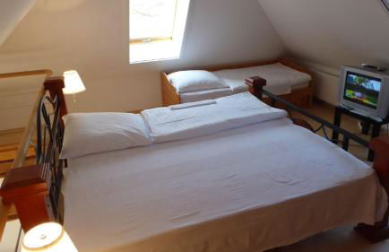 Gut-Rattelvitz-Galerie-F-hochwertig-Sauna-Kamin-eTankstelle-Spielscheune-15-000qm-Park-Land - Foto 15