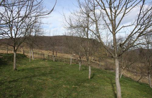 Apartment Marija - Foto 21