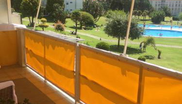 Hortensias de jardín - Photo 2