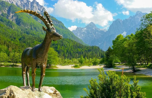 Alpine Retreat Gaja Kranjska Gora - Foto 24