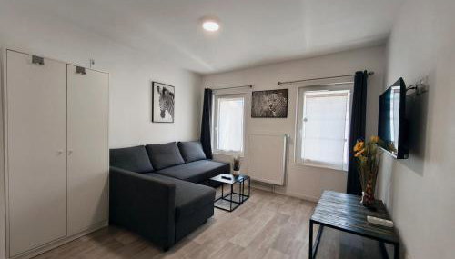 Grand Studio Lumineux Proche Centre-Ville - Foto 5