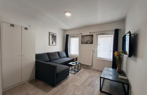 Grand Studio Lumineux Proche Centre-Ville - Foto 5