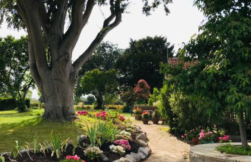 Octon Cottages Luxury 1 and 2 Bedroom cottages 1 mile from Taunton centre - Foto 64