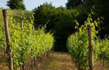 Casa Monteverdi - Foto 3