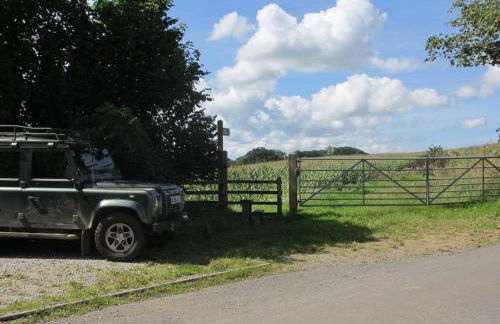 Stargazing Retreat - Foto 15