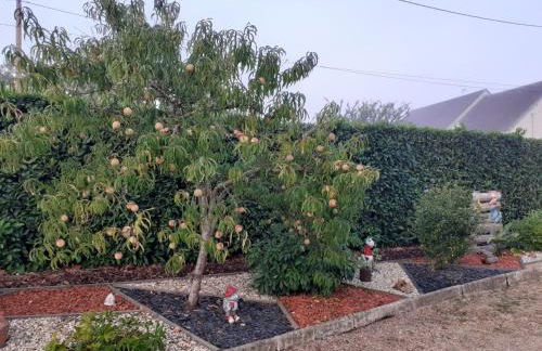 Gîte de charme proche du ZooParc de Beauval - 2 terrasses, jardin, cheminée, clim, parking gratuit - FR-1-491-408 - Foto 16