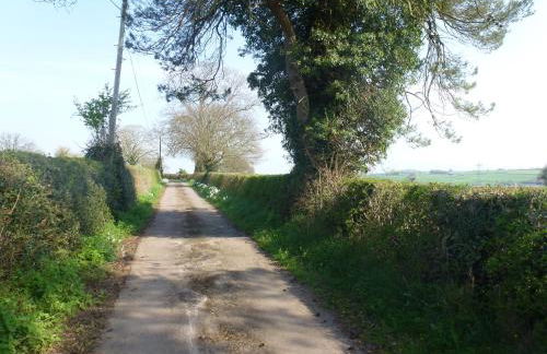 Thatch Close Cottages - Foto 14