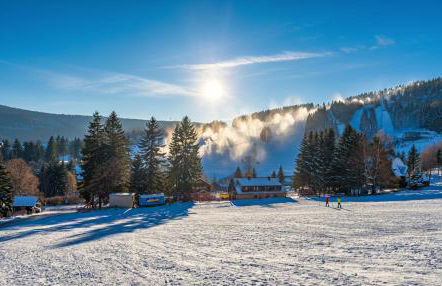 Ferienwohnung-direkt-am-Skihang mit Sauna - Foto 49