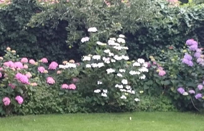 Holiday Apartment Sauer Large - Foto 22