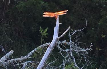 Fishers Of Men Ranch Home - Photo 55