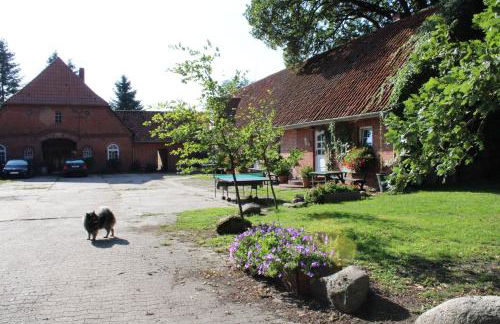 Bauernhofurlaub bei Familie Bokeloh - Foto 10