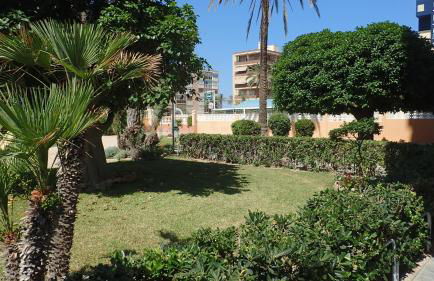 Tortuga Flat - Photo 39