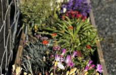 Airyolland - Foto 17