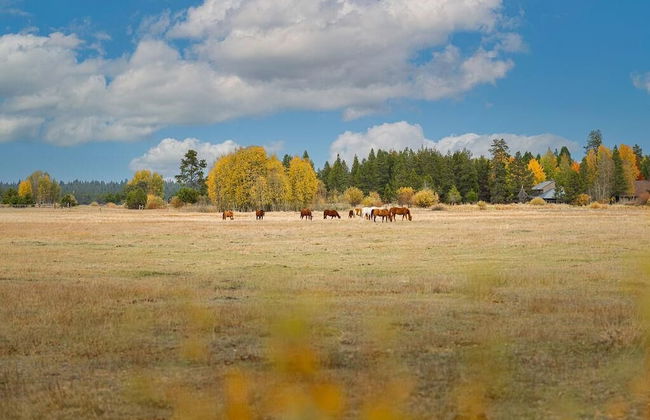 Eaglewood Condo 8 - Foto 35