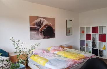 Südschwarzwald Ferienhaus für Gruppen & Monteure - Foto 38