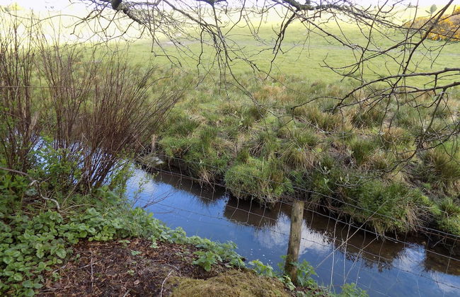 2-bed Cottage, Sleeps 5, Pets Ok, Close to Coast - Foto 18