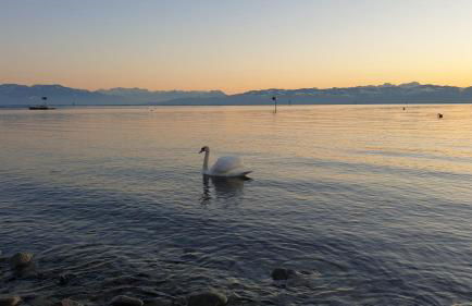 Blütenlodge Bodensee - Foto 44