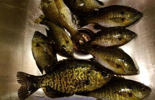 Sandy Hollow - Photo 23