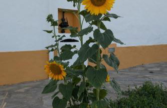 Herdade da Yucca - Retreat & Spa - Foto 63