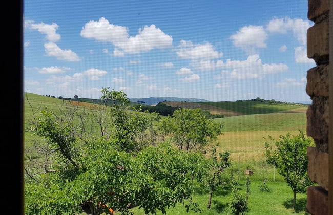 Agriturismo Bio 4 Stagioni - Foto 45