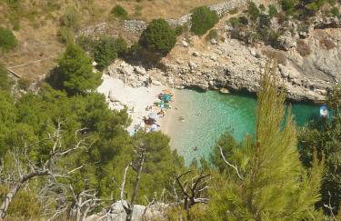 Apartment Smuljic - Foto 29