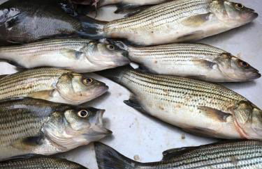 St Johns River Retreat Unit 2 - Foto 37