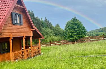 Okno na las - Foto 19