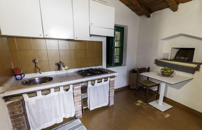 Agricontura - Foto 32