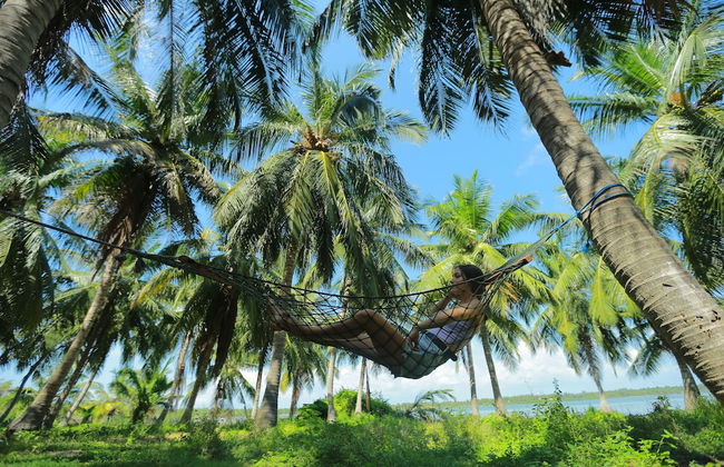 Club Mango - Photo 39