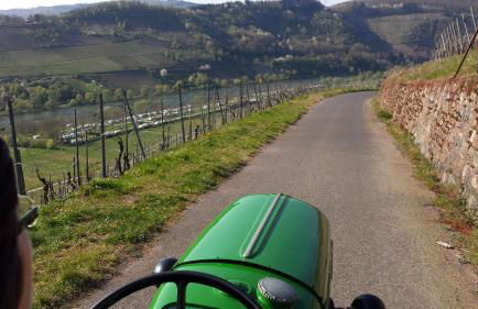 Weingut Hirschen Enkircherweg - Foto 35