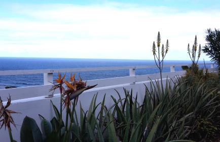 Las Pardelas, Ferienhaus mit Meer-, Küsten- und Bergblick im grünen Norden Teneriffas - Foto 30