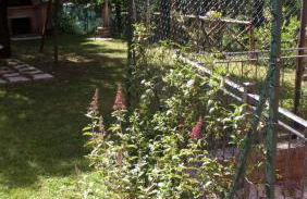 La casetta rossa - Foto 36