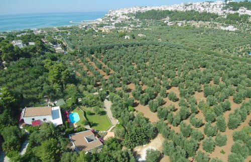 Masseria La Chiusa Delle More - Foto 13