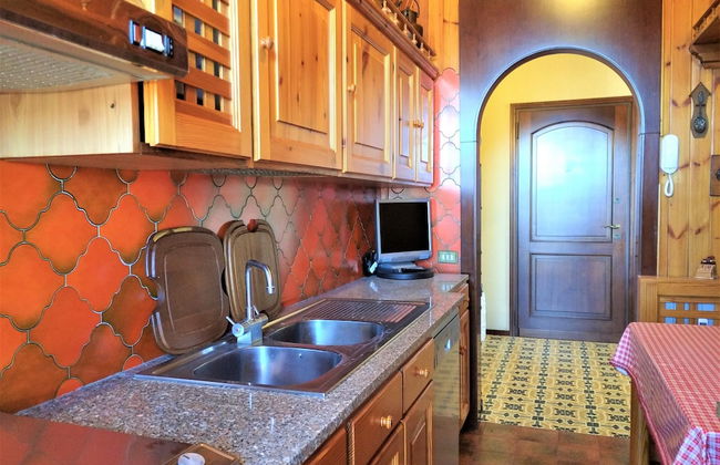 Pettirosso - Photo 10