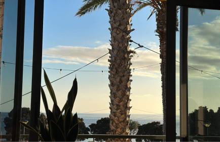 Apartamentos Amarelo - Photo 36