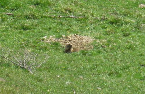 Chalet Laura - Foto 30