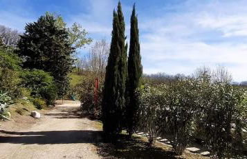 Domaine de Massoulac - Foto 43