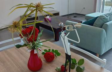 Haute-Corse Bas de villa , 2 chambres de 70 m2 , vue mer , jardin et terrasse - Foto 14