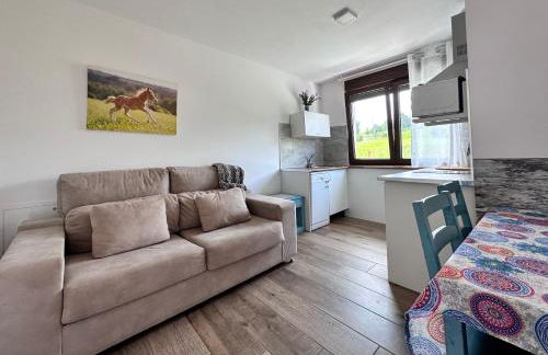 Apartamentos Rurales Sobremazas - Foto 50