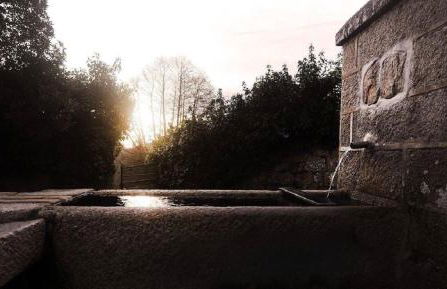 Agriturismo Campesi casale tra le vigne - Photo 63