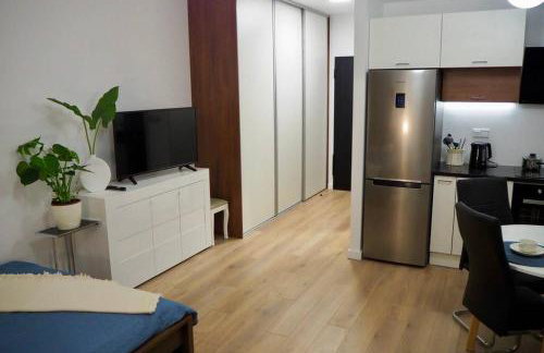 Studio Nr 4 close to Medicover and Paley Institute - Foto 6