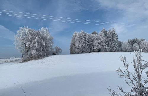 Außergewöhnliche Ferienwohnung in modernen Styl - Foto 22