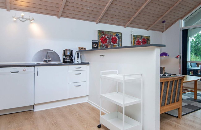 Bright Family Cottage by Kelstrup Beach - Foto 28