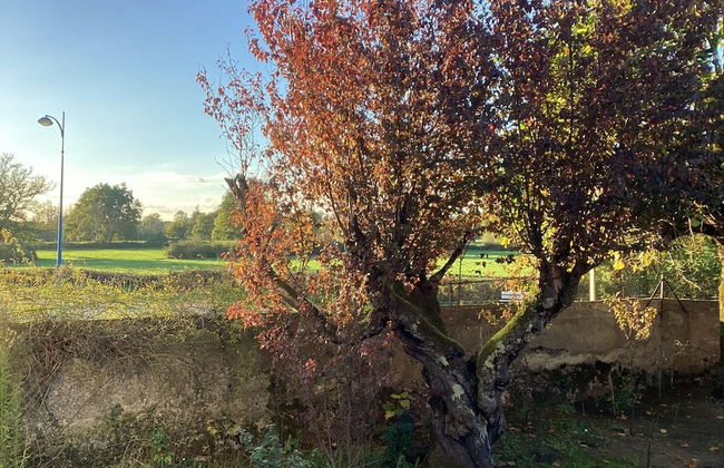 Charming Home by River Allier Hiking Trails - Foto 22