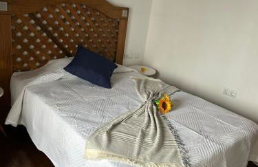 Tradicional Casa Canaria con piscina y vistas al Teide - Foto 32