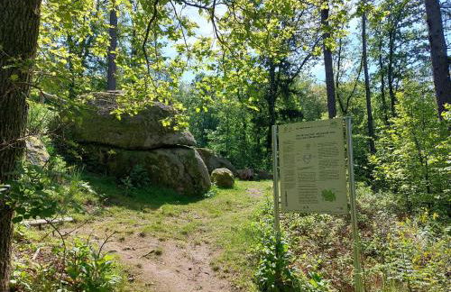 Gorxheimertal 92qm Allergikerfreundlich 2 Schlafzimmer 2 WC Terrasse - Foto 42