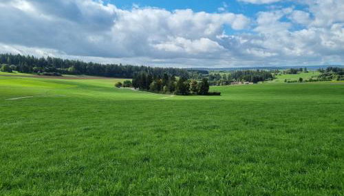 Modern eingerichtete 3-Zi-Ferienwohnung zu vermieten - Foto 4